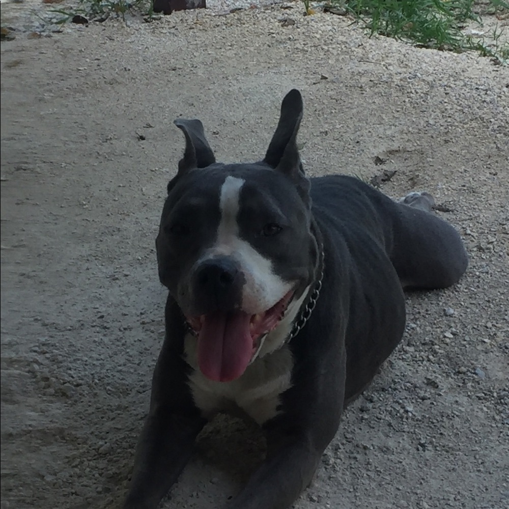 Meet your Posher, Sandra